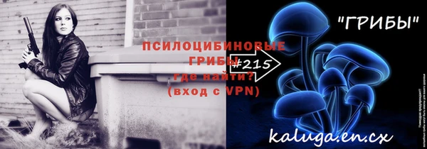 стаф Балахна