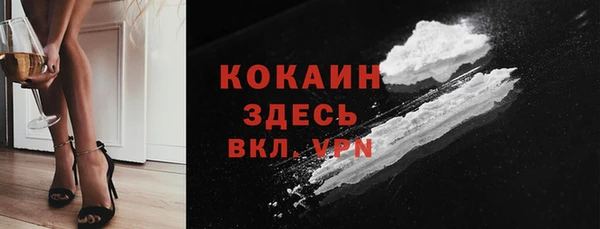 стаф Балахна