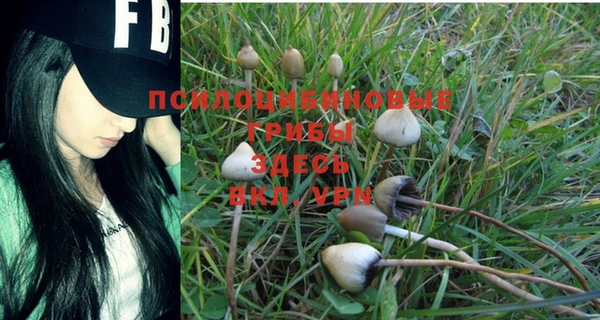 стаф Балахна
