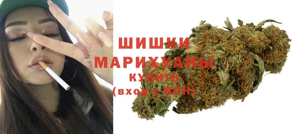 МДПВ Семилуки