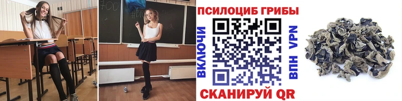 MEGA рабочий сайт  Опочка  Галлюциногенные грибы мицелий 